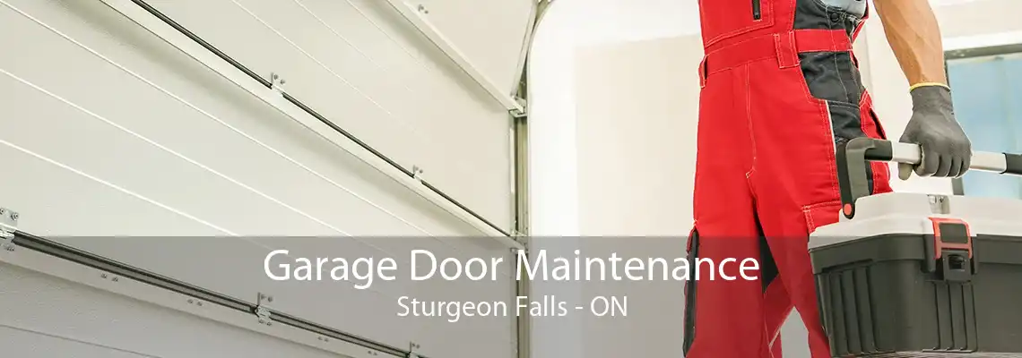 Garage Door Maintenance Sturgeon Falls - ON