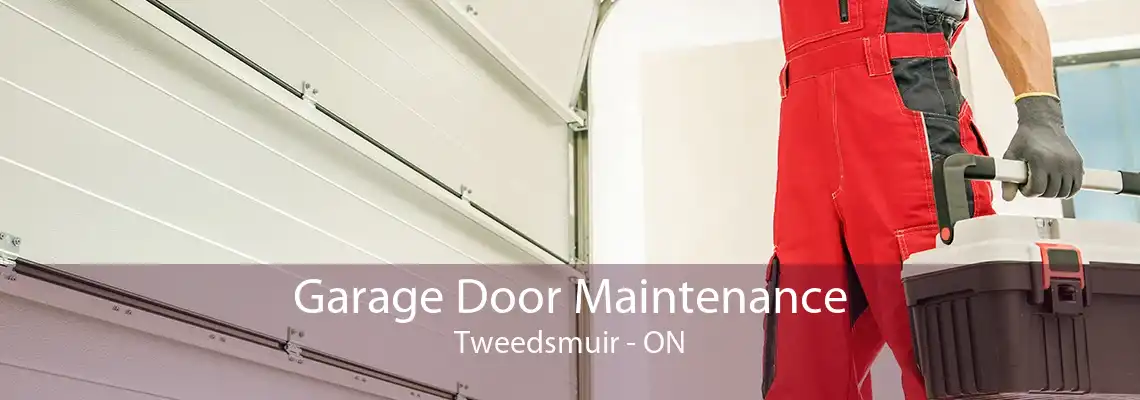 Garage Door Maintenance Tweedsmuir - ON