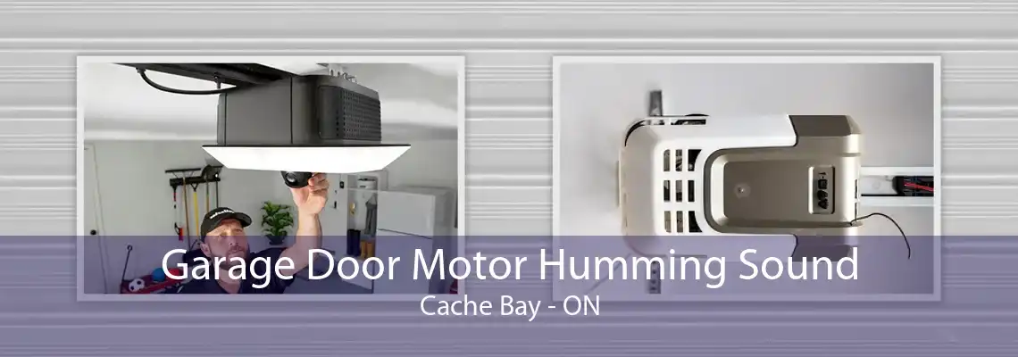 Garage Door Motor Humming Sound Cache Bay - ON
