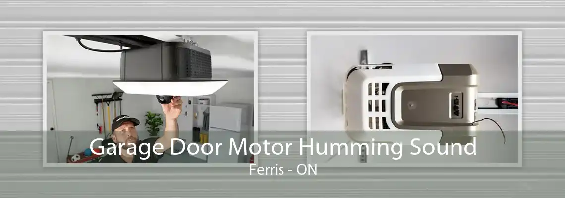 Garage Door Motor Humming Sound Ferris - ON