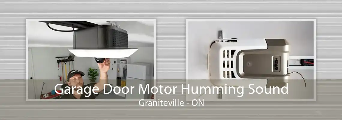 Garage Door Motor Humming Sound Graniteville - ON