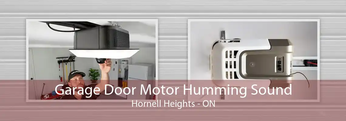 Garage Door Motor Humming Sound Hornell Heights - ON