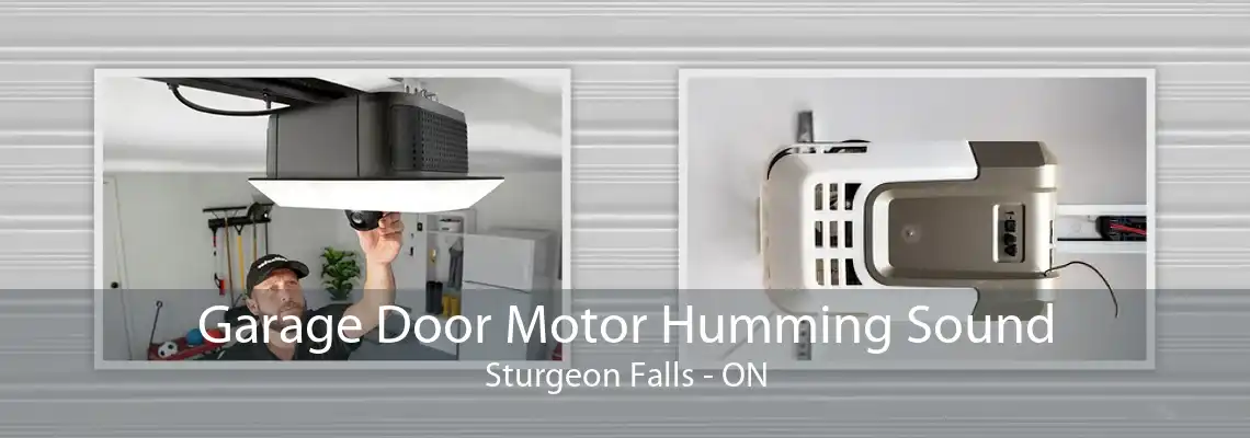 Garage Door Motor Humming Sound Sturgeon Falls - ON