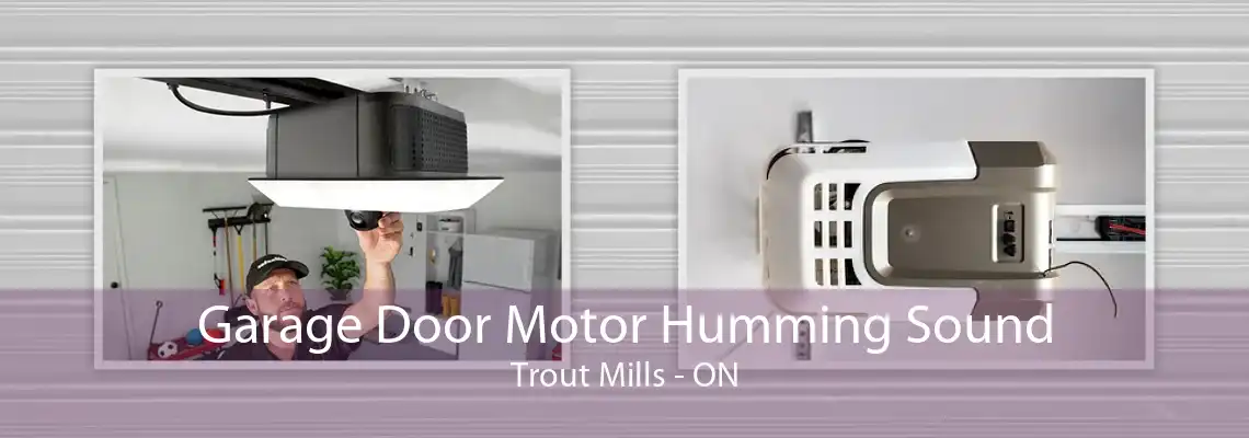 Garage Door Motor Humming Sound Trout Mills - ON