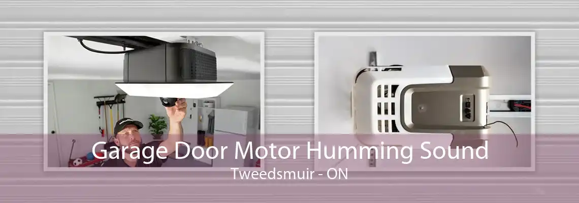 Garage Door Motor Humming Sound Tweedsmuir - ON