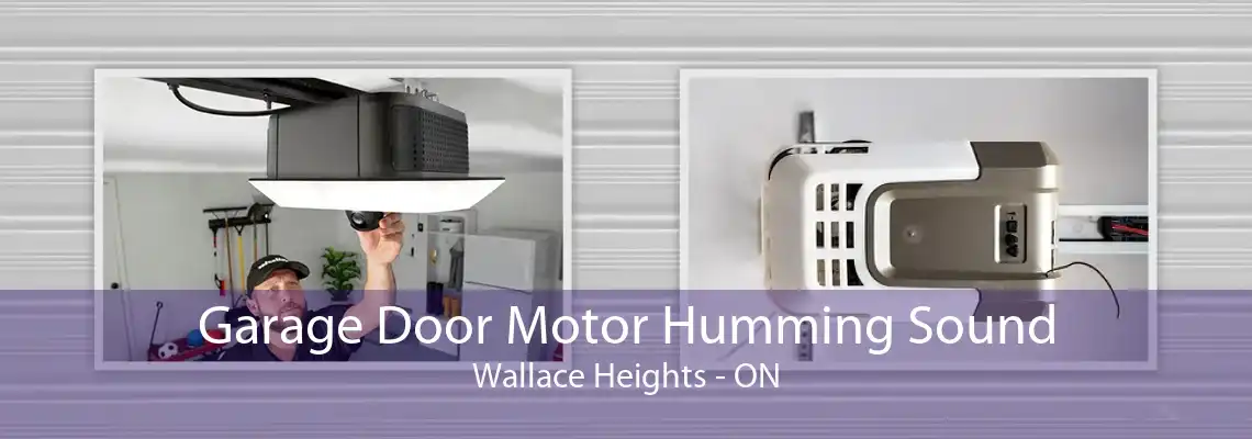 Garage Door Motor Humming Sound Wallace Heights - ON
