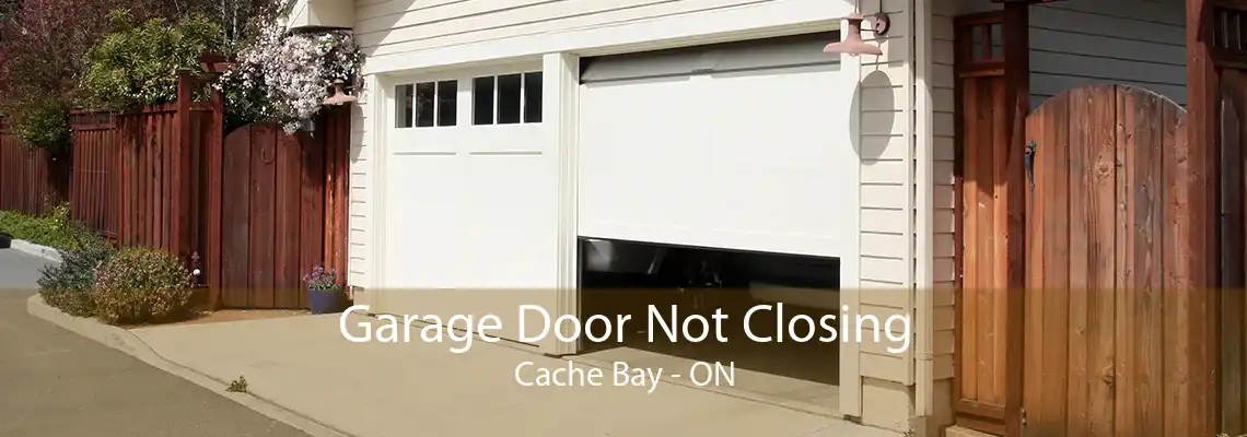 Garage Door Not Closing Cache Bay - ON