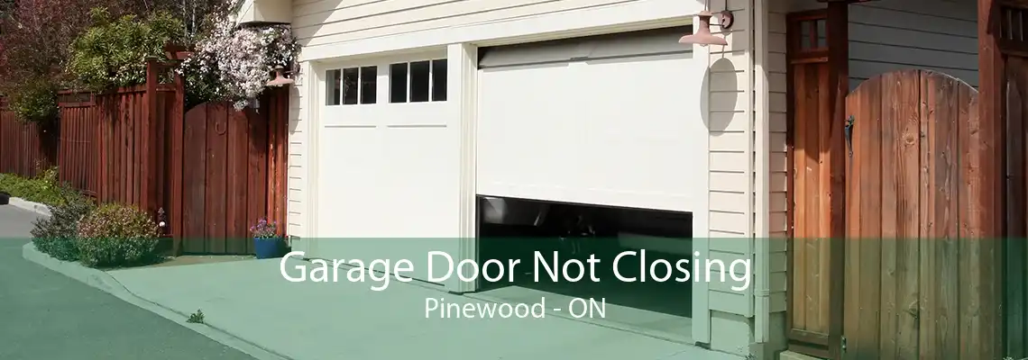 Garage Door Not Closing Pinewood - ON