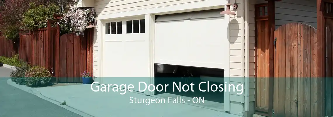 Garage Door Not Closing Sturgeon Falls - ON