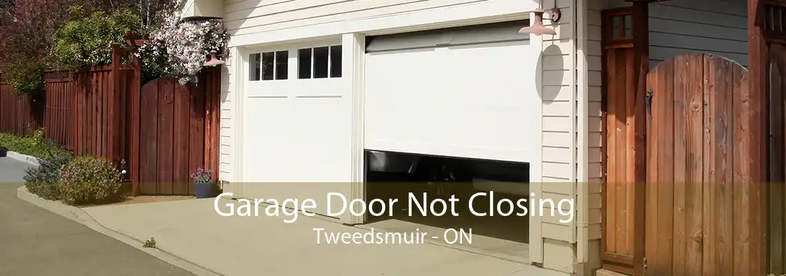 Garage Door Not Closing Tweedsmuir - ON