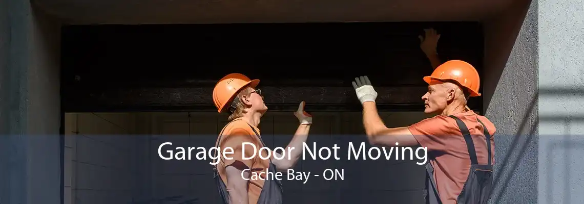 Garage Door Not Moving Cache Bay - ON