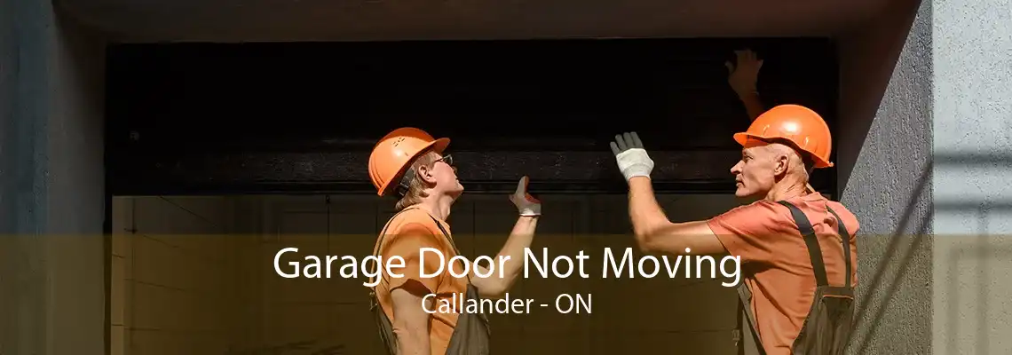 Garage Door Not Moving Callander - ON