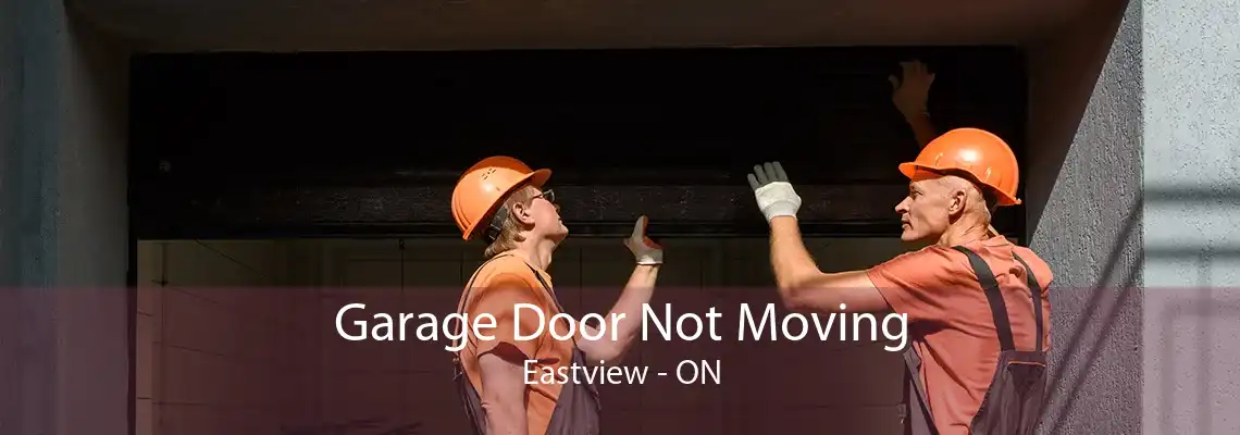 Garage Door Not Moving Eastview - ON
