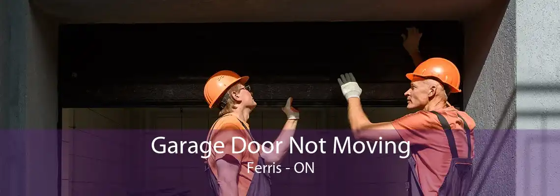 Garage Door Not Moving Ferris - ON