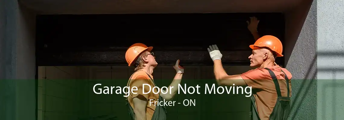 Garage Door Not Moving Fricker - ON