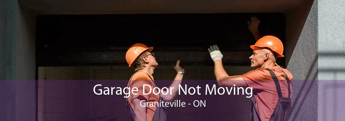 Garage Door Not Moving Graniteville - ON