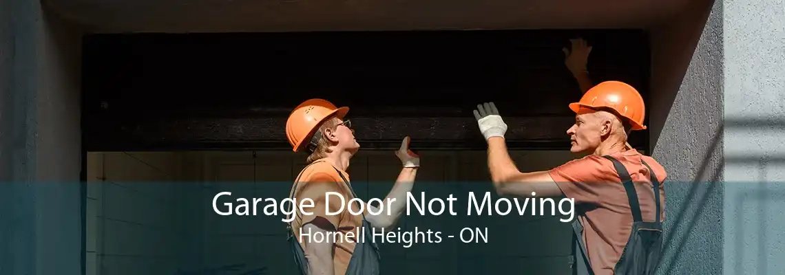Garage Door Not Moving Hornell Heights - ON