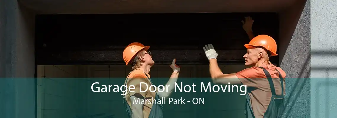 Garage Door Not Moving Marshall Park - ON