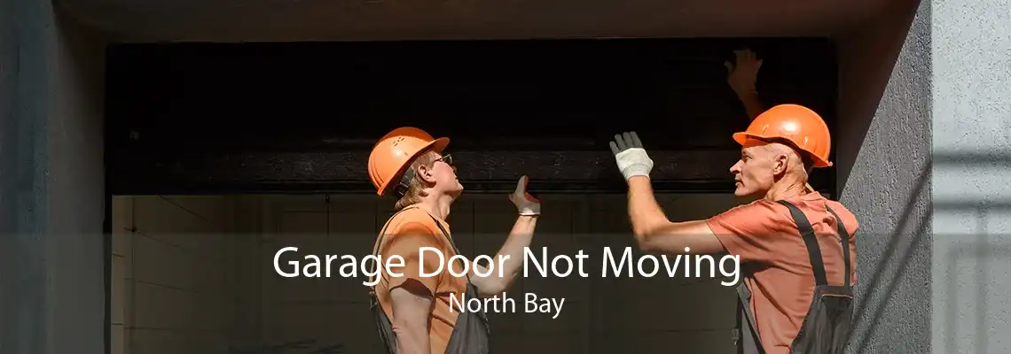 Garage Door Not Moving North Bay