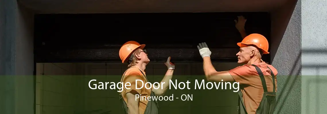 Garage Door Not Moving Pinewood - ON