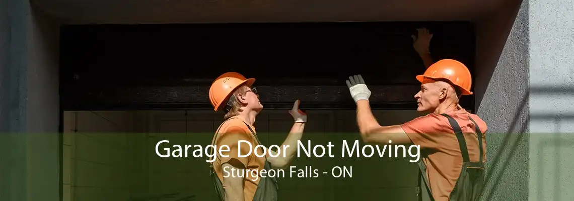 Garage Door Not Moving Sturgeon Falls - ON