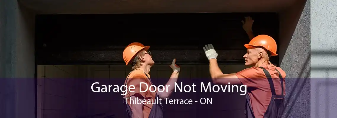 Garage Door Not Moving Thibeault Terrace - ON