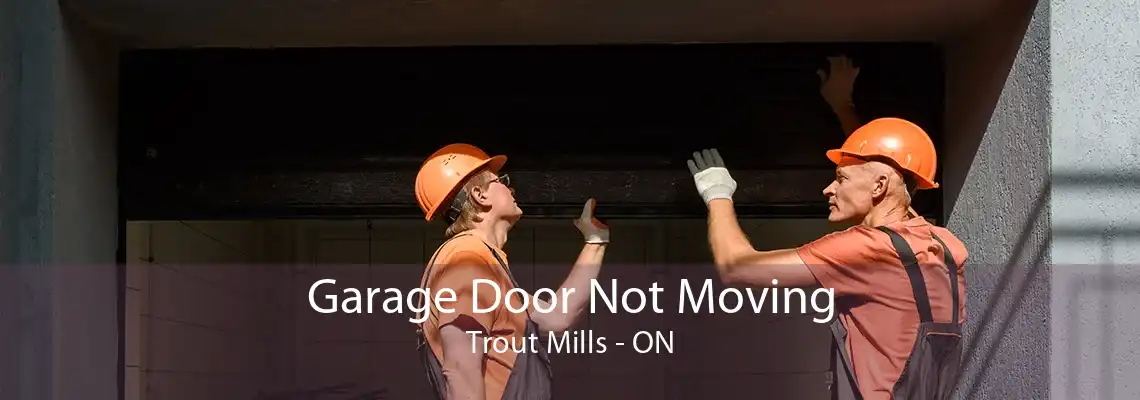 Garage Door Not Moving Trout Mills - ON