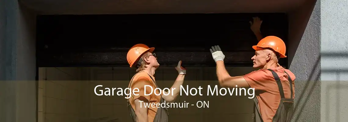 Garage Door Not Moving Tweedsmuir - ON