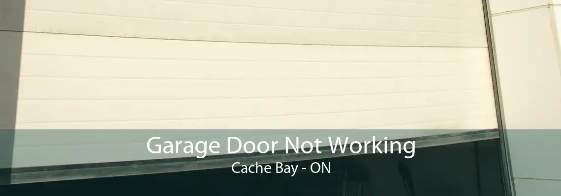 Garage Door Not Working Cache Bay - ON