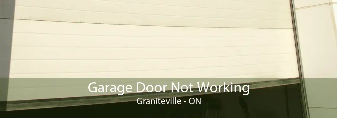 Garage Door Not Working Graniteville - ON