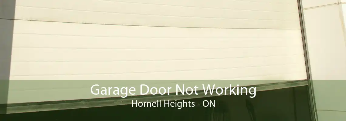 Garage Door Not Working Hornell Heights - ON