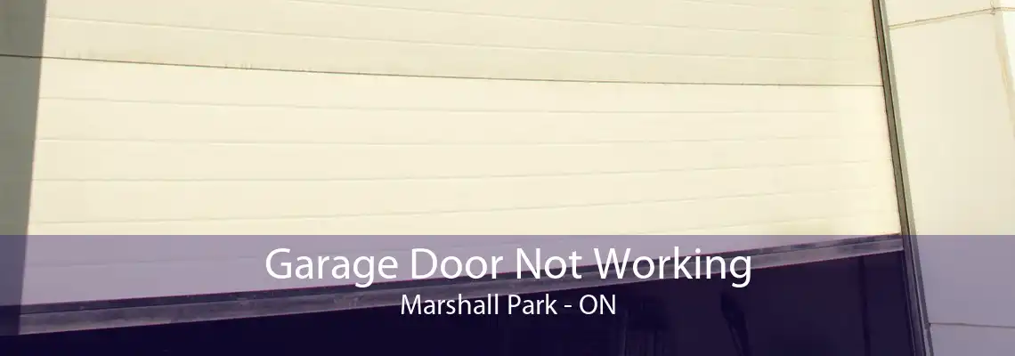 Garage Door Not Working Marshall Park - ON
