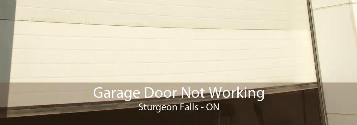 Garage Door Not Working Sturgeon Falls - ON