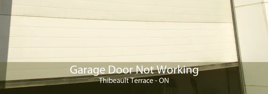Garage Door Not Working Thibeault Terrace - ON