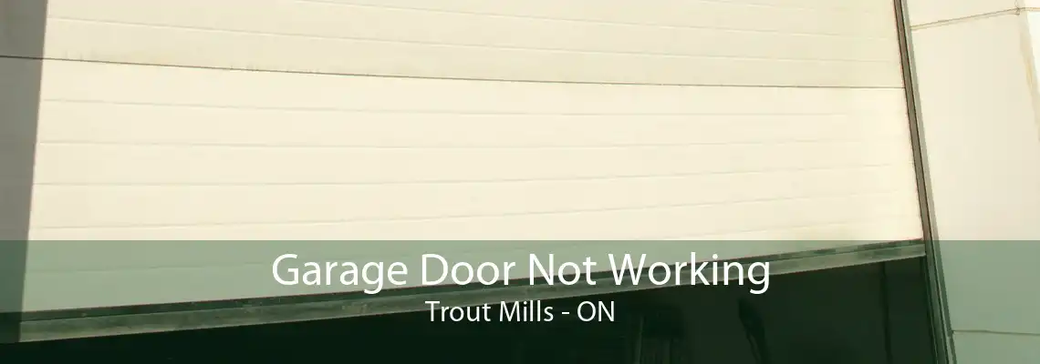 Garage Door Not Working Trout Mills - ON