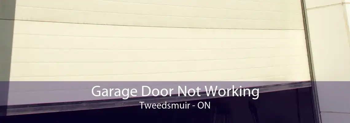 Garage Door Not Working Tweedsmuir - ON