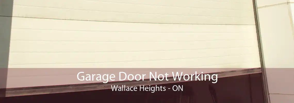 Garage Door Not Working Wallace Heights - ON
