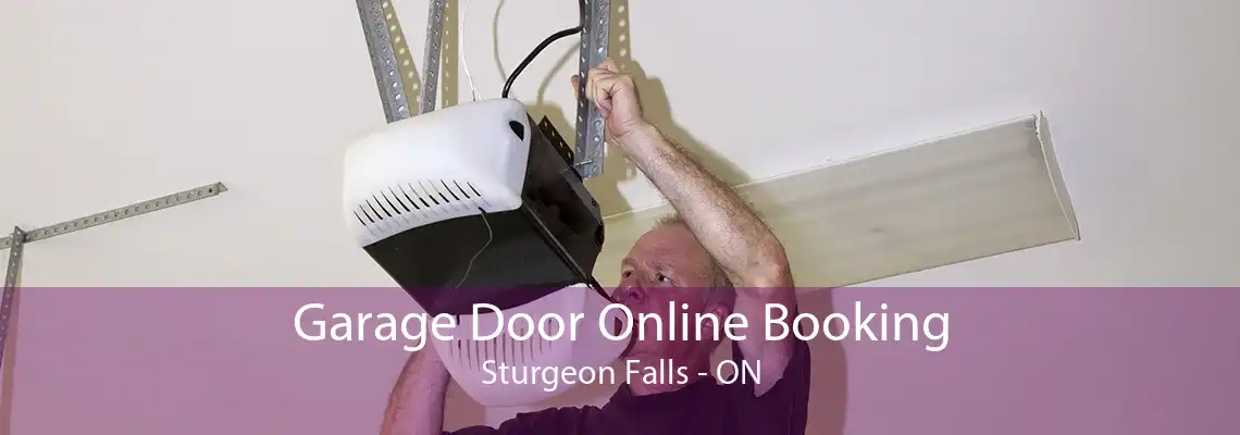 Garage Door Online Booking Sturgeon Falls - ON