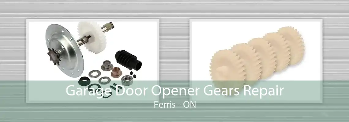 Garage Door Opener Gears Repair Ferris - ON