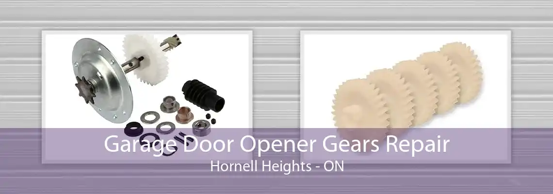 Garage Door Opener Gears Repair Hornell Heights - ON