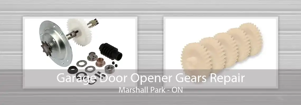 Garage Door Opener Gears Repair Marshall Park - ON