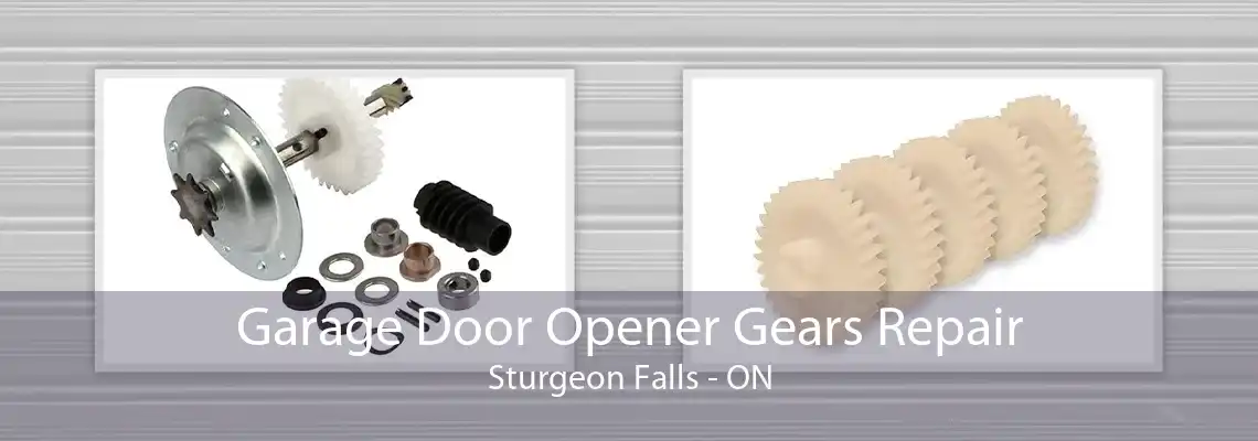 Garage Door Opener Gears Repair Sturgeon Falls - ON