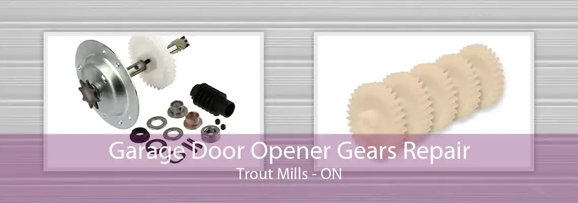 Garage Door Opener Gears Repair Trout Mills - ON