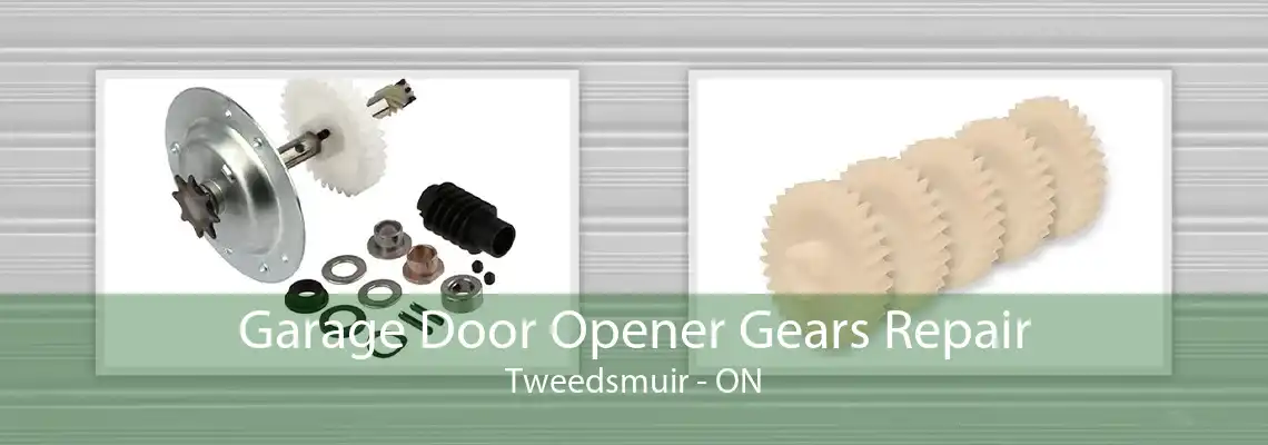 Garage Door Opener Gears Repair Tweedsmuir - ON