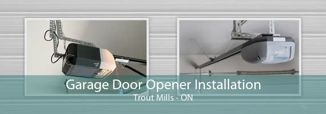 Garage Door Opener Installation Trout Mills - ON