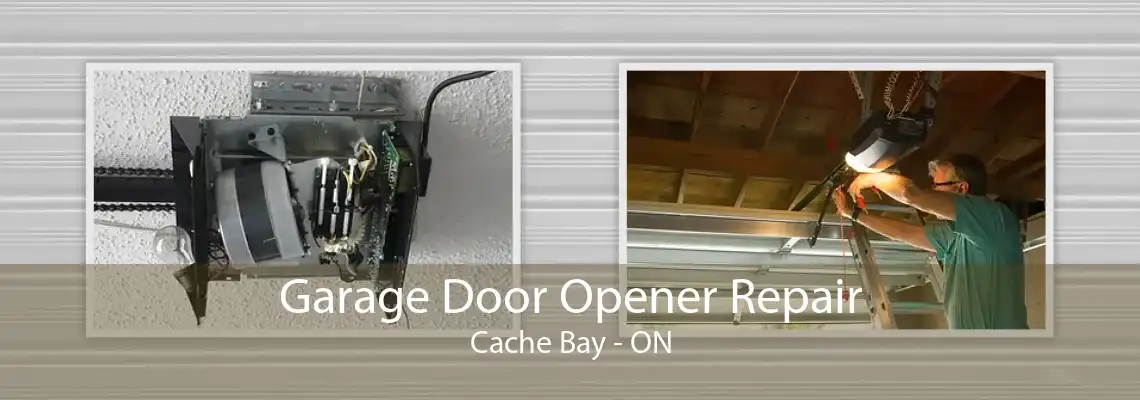 Garage Door Opener Repair Cache Bay - ON