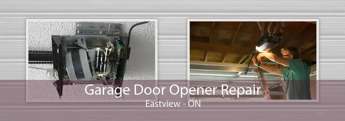Garage Door Opener Repair Eastview - ON