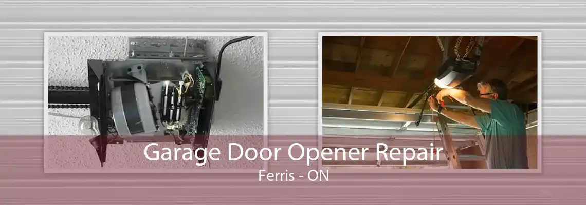 Garage Door Opener Repair Ferris - ON