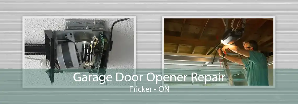 Garage Door Opener Repair Fricker - ON