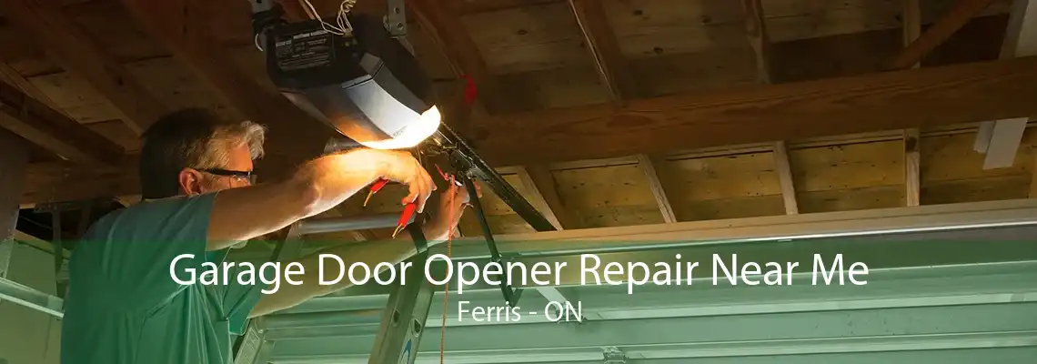 Garage Door Opener Repair Near Me Ferris - ON
